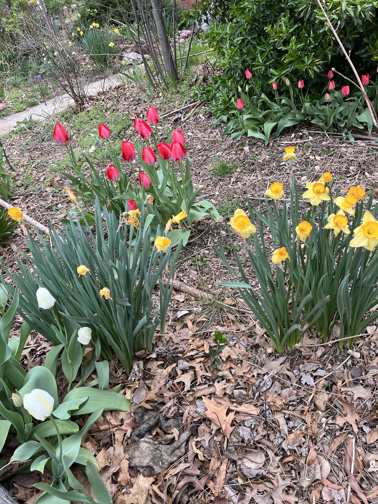 Spring – Morning Glory Studio